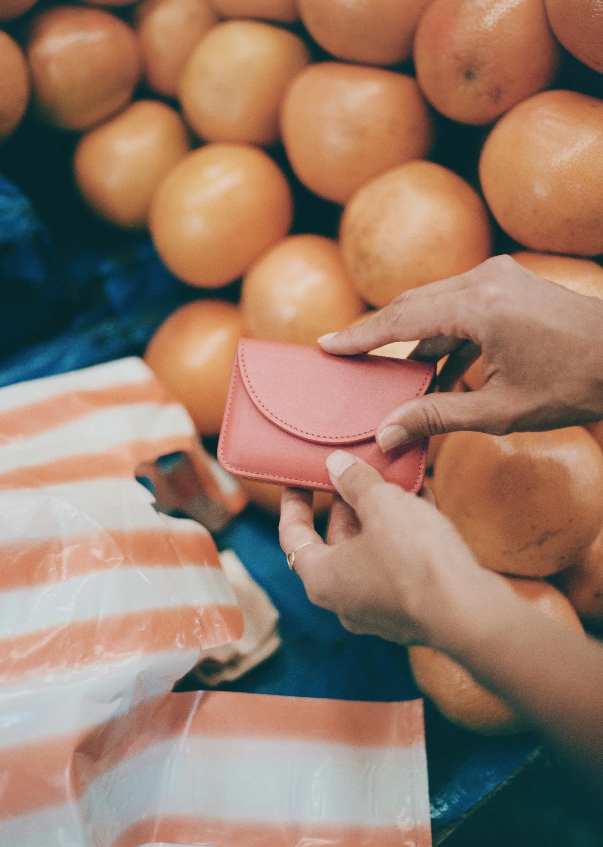 Anda in Tomate - Image 4