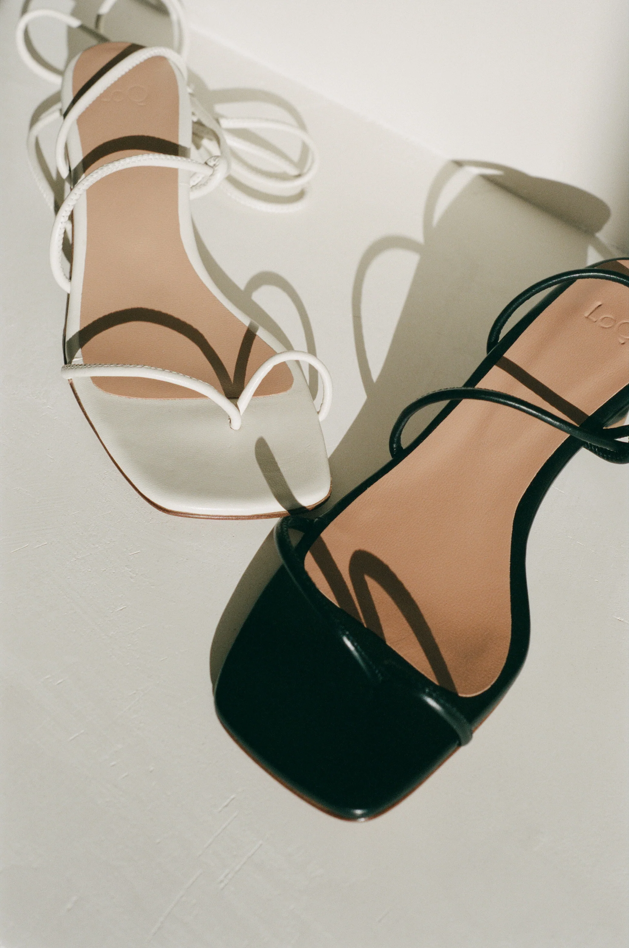 Roma in Hueso - Image 7
